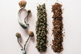 cannabis, mushrooms, CBD